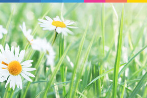 Vive le printemps - 20% de réduction sur nos formations